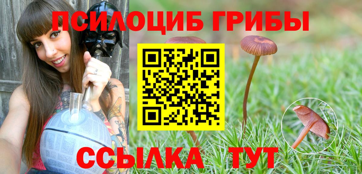 Псилоцибиновые грибы Magic Shrooms Елизово