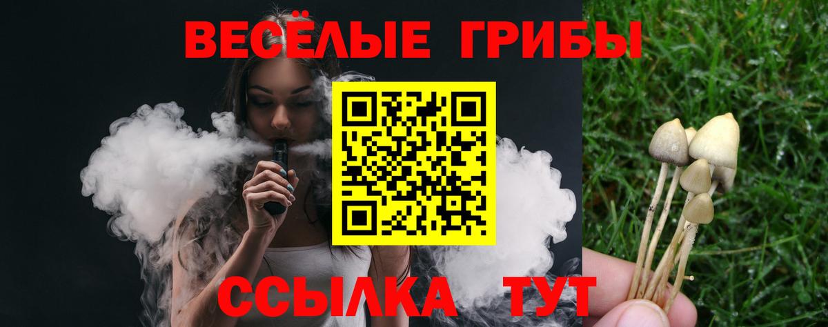Галлюциногенные грибы прущие грибы  Вход с VPN  наркотики  Псилоцибиновые грибы мицелий  Елизово 